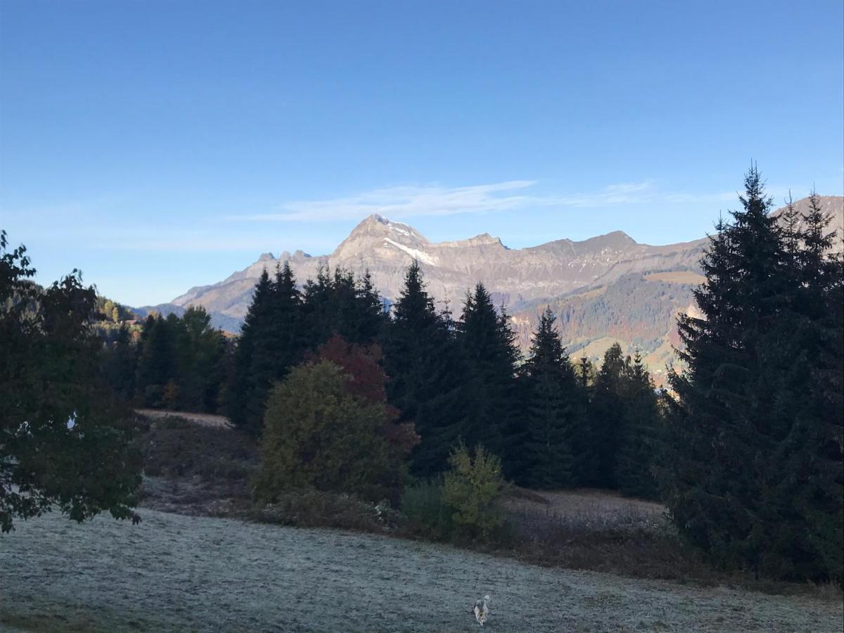 La Ferme Des Georgieres "Sejour En Tout Compris" Notre-Dame-de-Bellecombe Exteriör bild